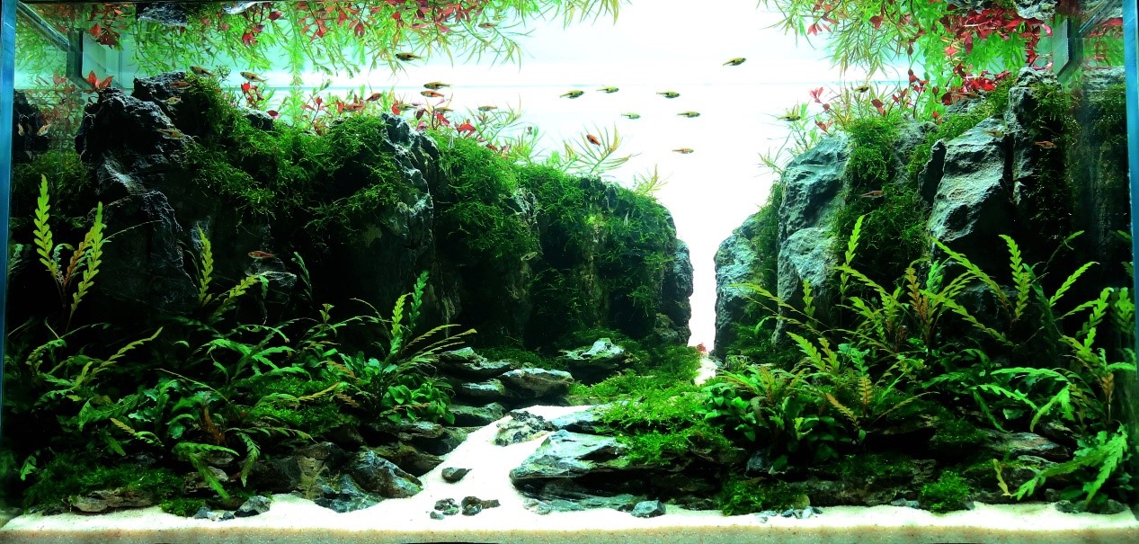 一线见云天.jpg