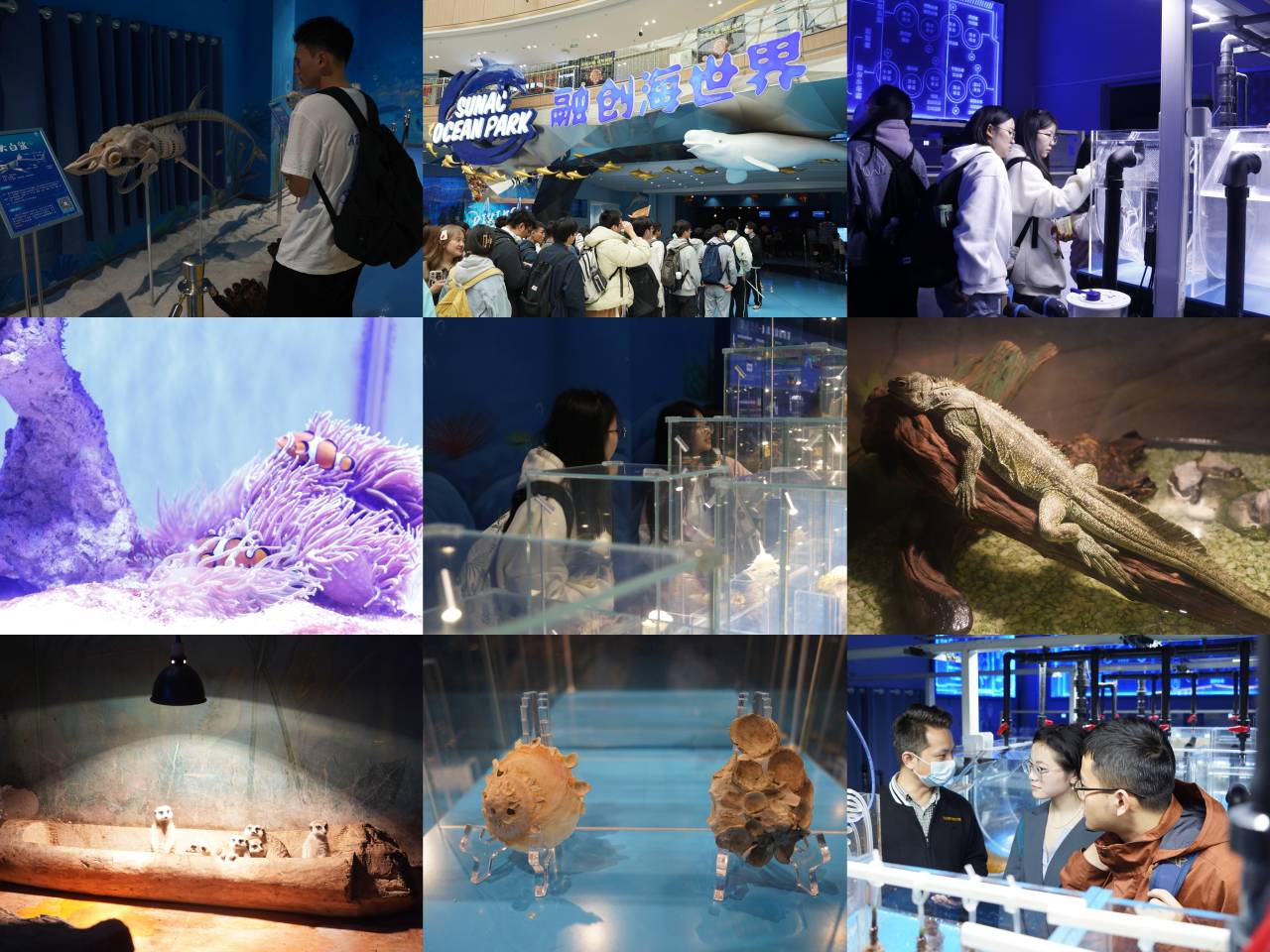 2.同学们在融创海世界进行参观学习.jpg
