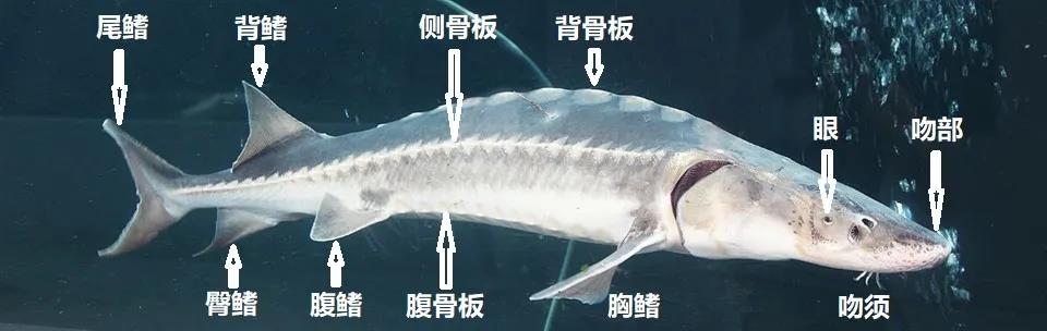 微信图片_20211122232000.jpg