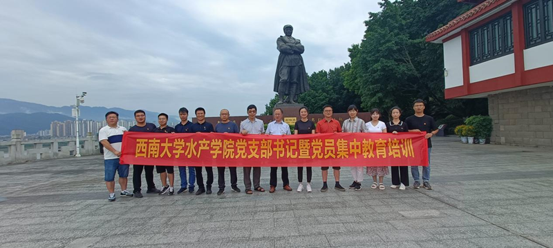 图片1_副本.png