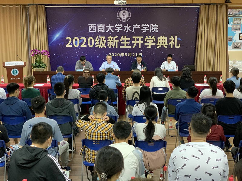 2.典礼现场2.JPG