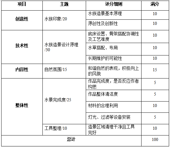 评分标准.png