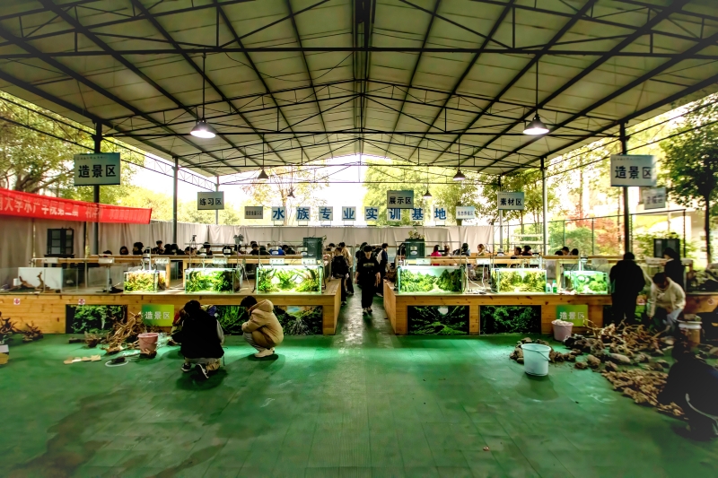 1.会场全景_副本.jpg